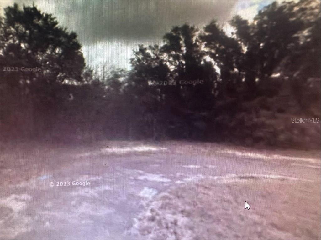 2981 W Challenge Court Citrus Springs FL 34434 A4597308 image6