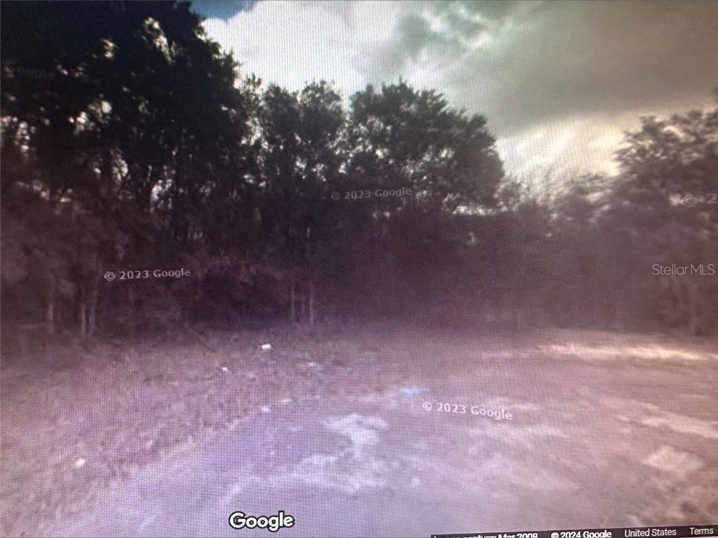 2981 W Challenge Court Citrus Springs FL 34434 A4597308 image7