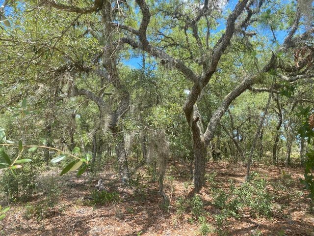 2981 W Sharpes Drive Citrus Springs FL 34433 OK221873 image1