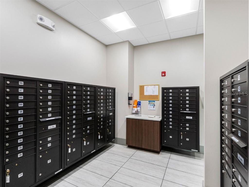 29817 Ganga Way Wesley Chapel FL 33543 TB8421595 image43