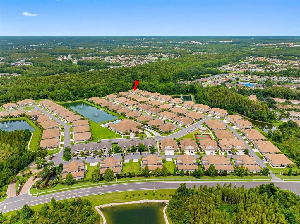 29817 Ganga Way Wesley Chapel FL 33543 TB8421595 image68