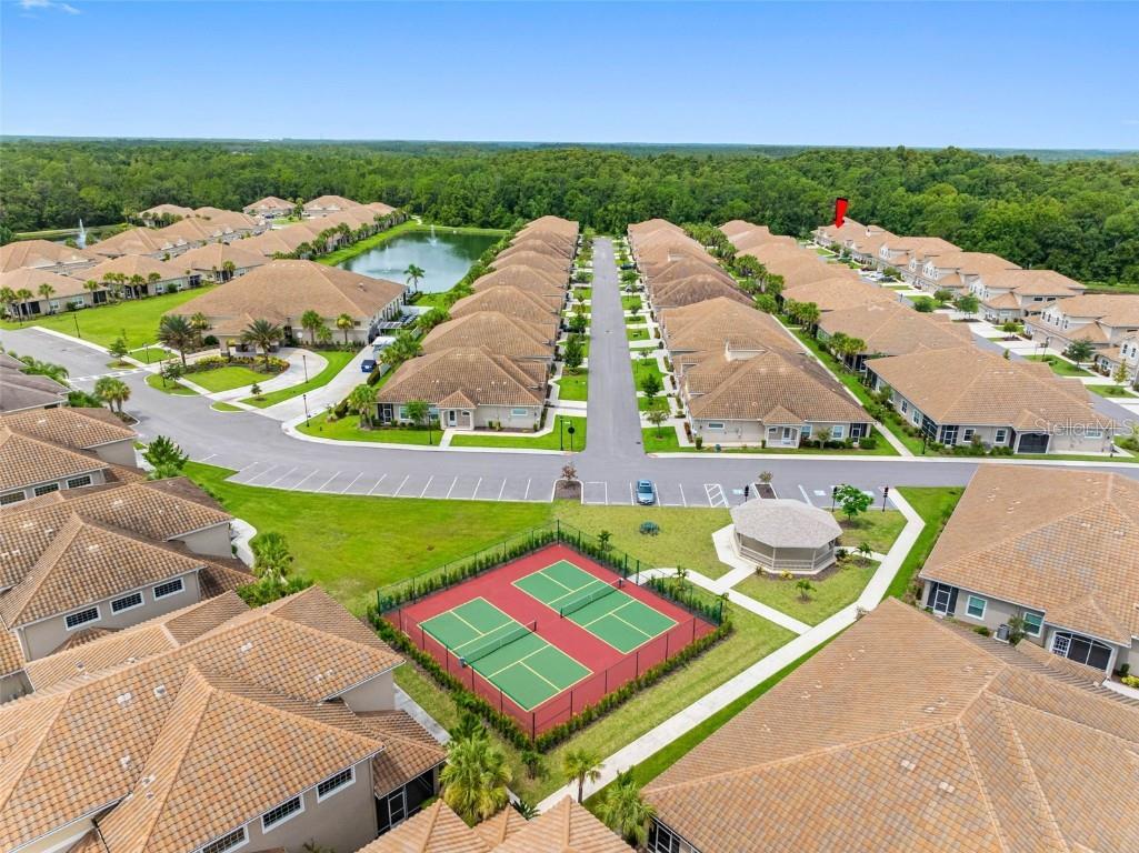 29817 Ganga Way Wesley Chapel FL 33543 TB8421595 image69