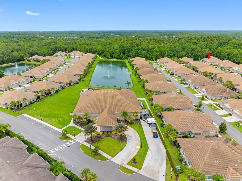 29817 Ganga Way Wesley Chapel FL 33543 TB8421595 image73