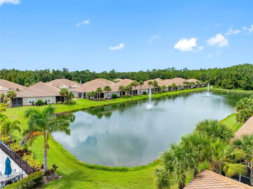 29817 Ganga Way Wesley Chapel FL 33543 TB8421595 image82