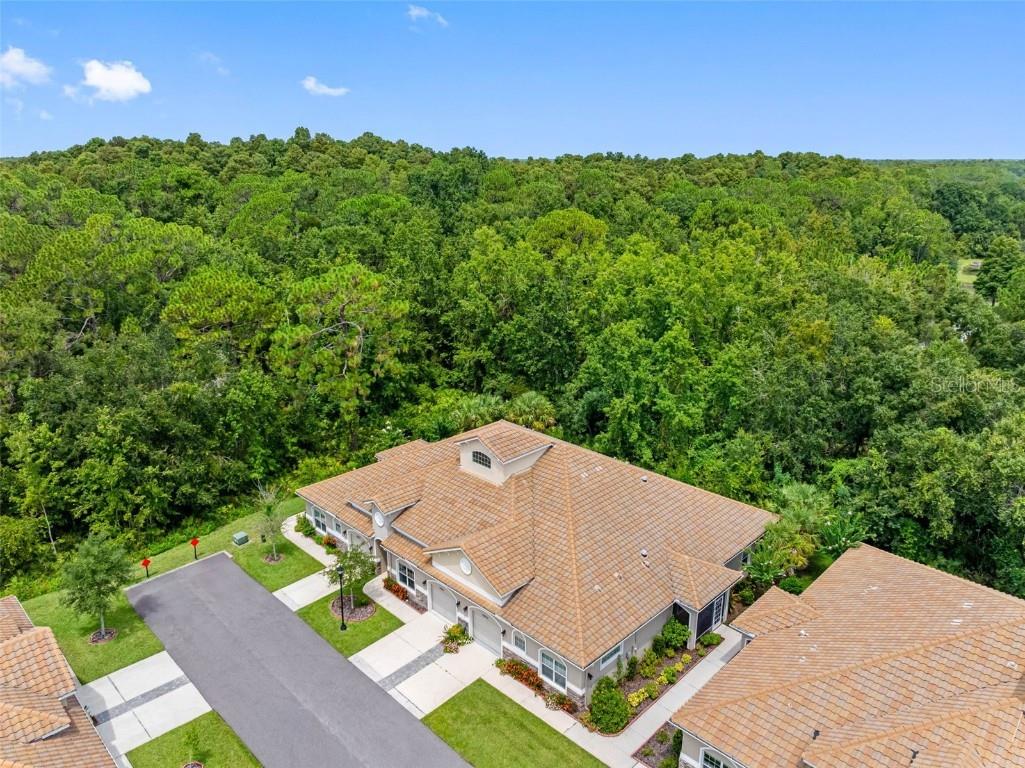 29817 Ganga Way Wesley Chapel FL 33543 TB8421595 image84