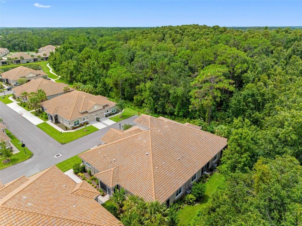 29817 Ganga Way Wesley Chapel FL 33543 TB8421595 image85