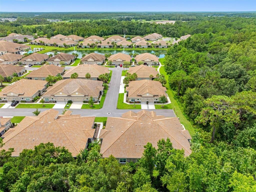 29817 Ganga Way Wesley Chapel FL 33543 TB8421595 image86