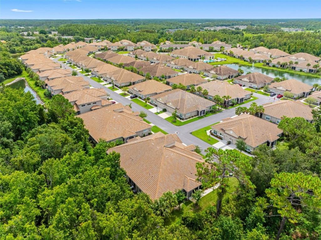 29817 Ganga Way Wesley Chapel FL 33543 TB8421595 image87