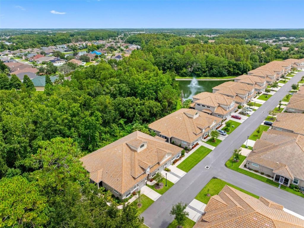 29817 Ganga Way Wesley Chapel FL 33543 TB8421595 image88