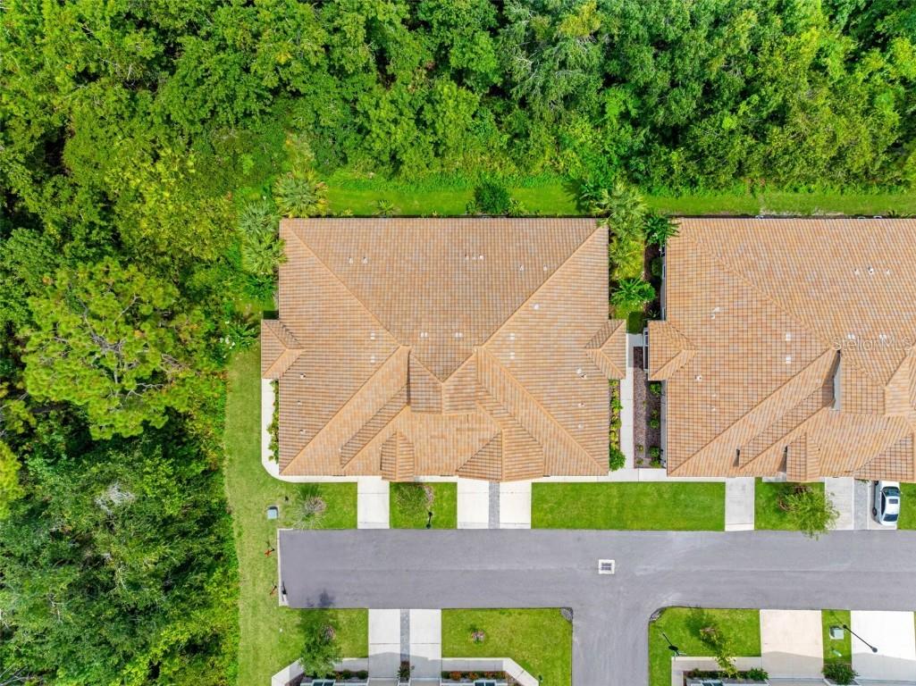 29817 Ganga Way Wesley Chapel FL 33543 TB8421595 image89