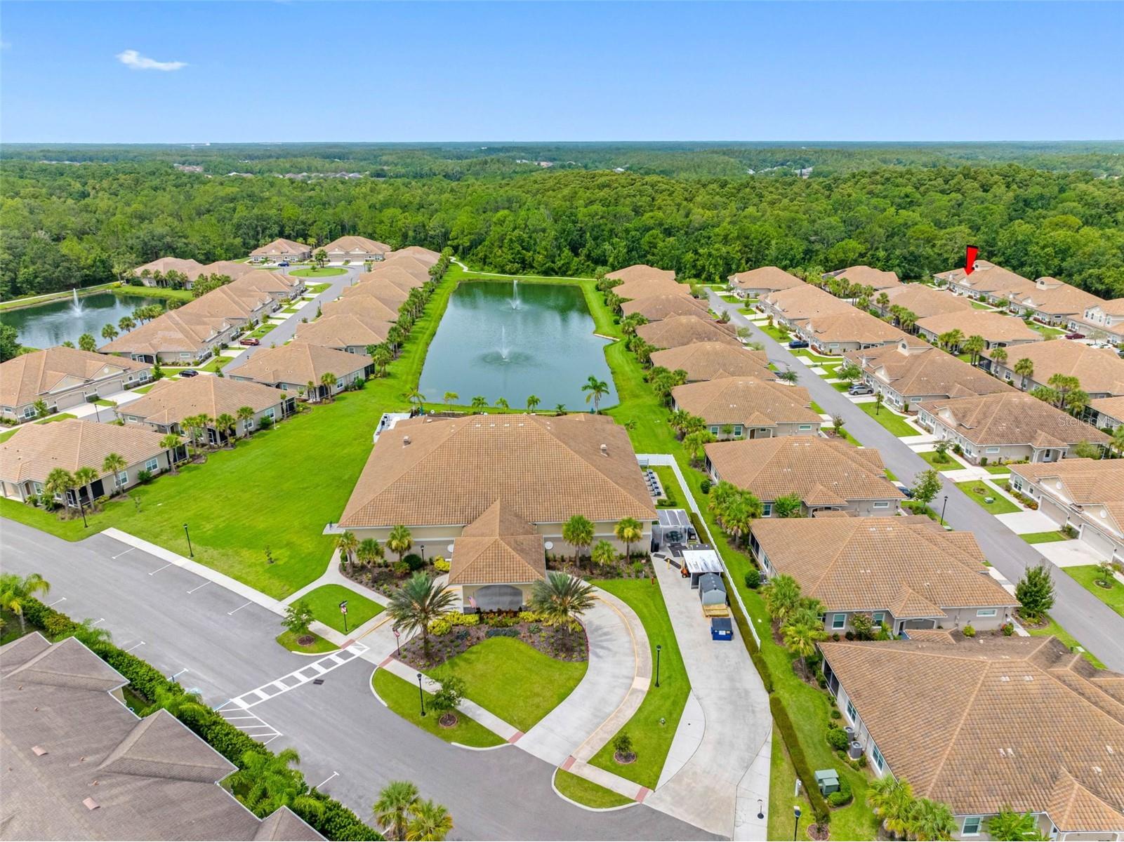 29817 Ganga Way Wesley Chapel FL 33543 W7886006 image33