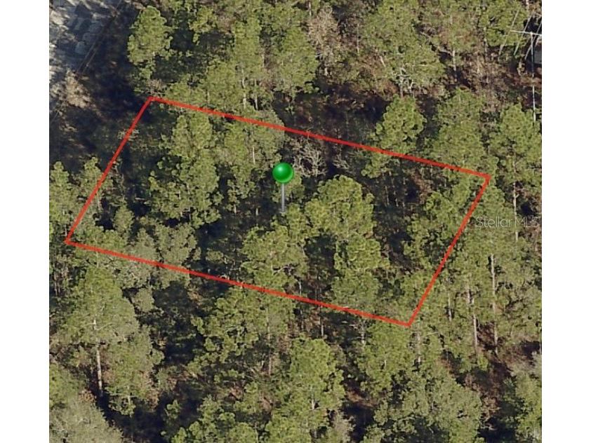 2982 W Marie Drive Citrus Springs FL 34433 A4561574 image1