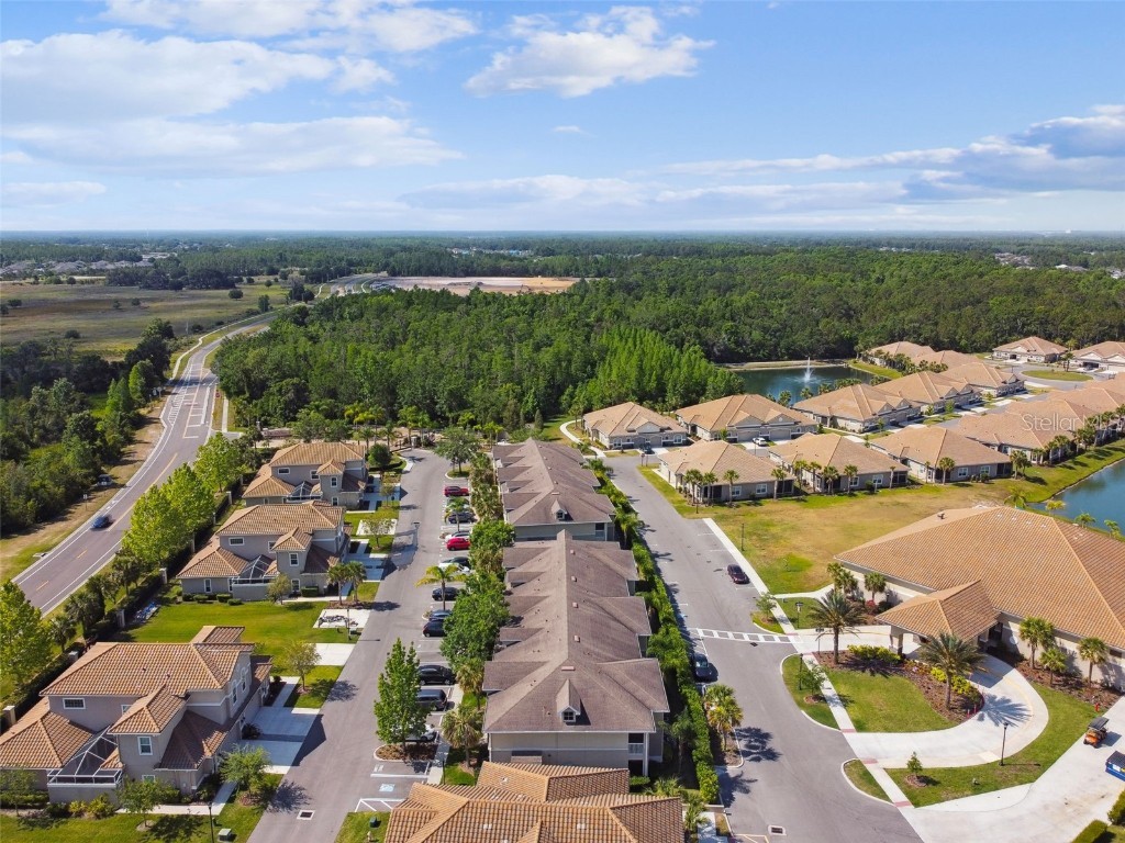 29823 Ganga Way Wesley Chapel FL 33543 TB8439398 image31