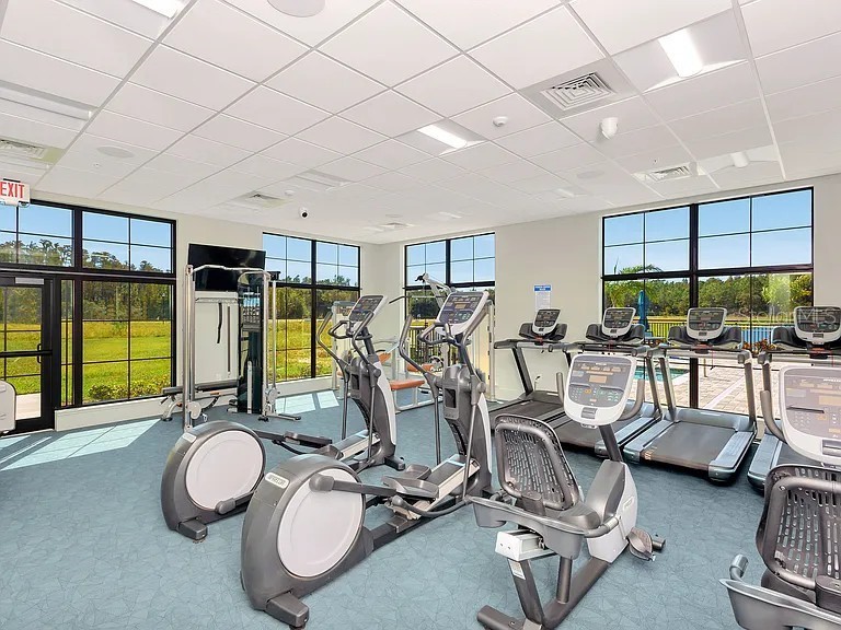 29823 Ganga Way Wesley Chapel FL 33543 TB8439398 image42