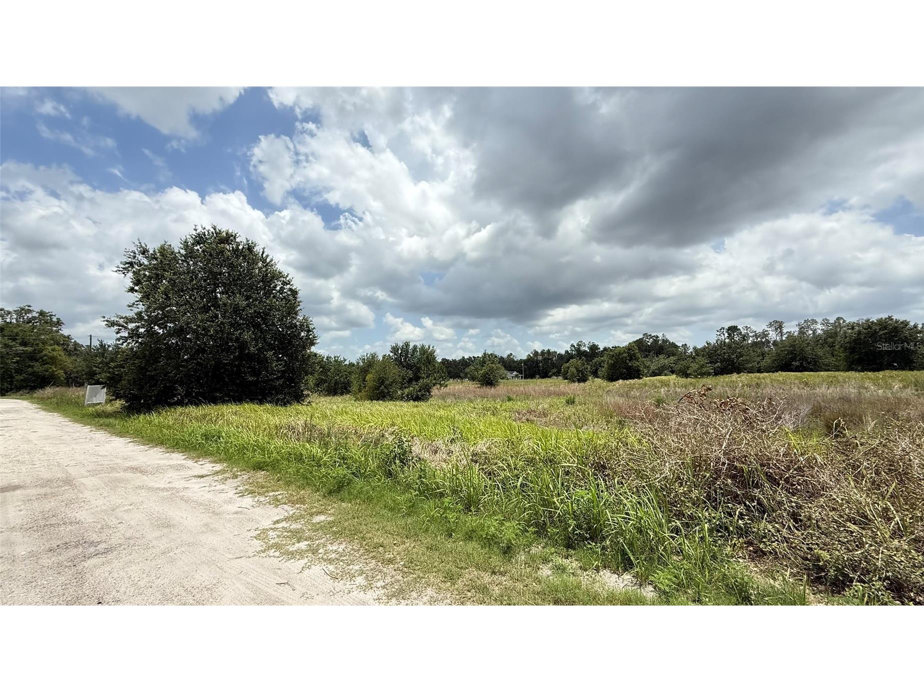 29824 Wells Roads Wesley Chapel FL 33545 TB8393629 image10