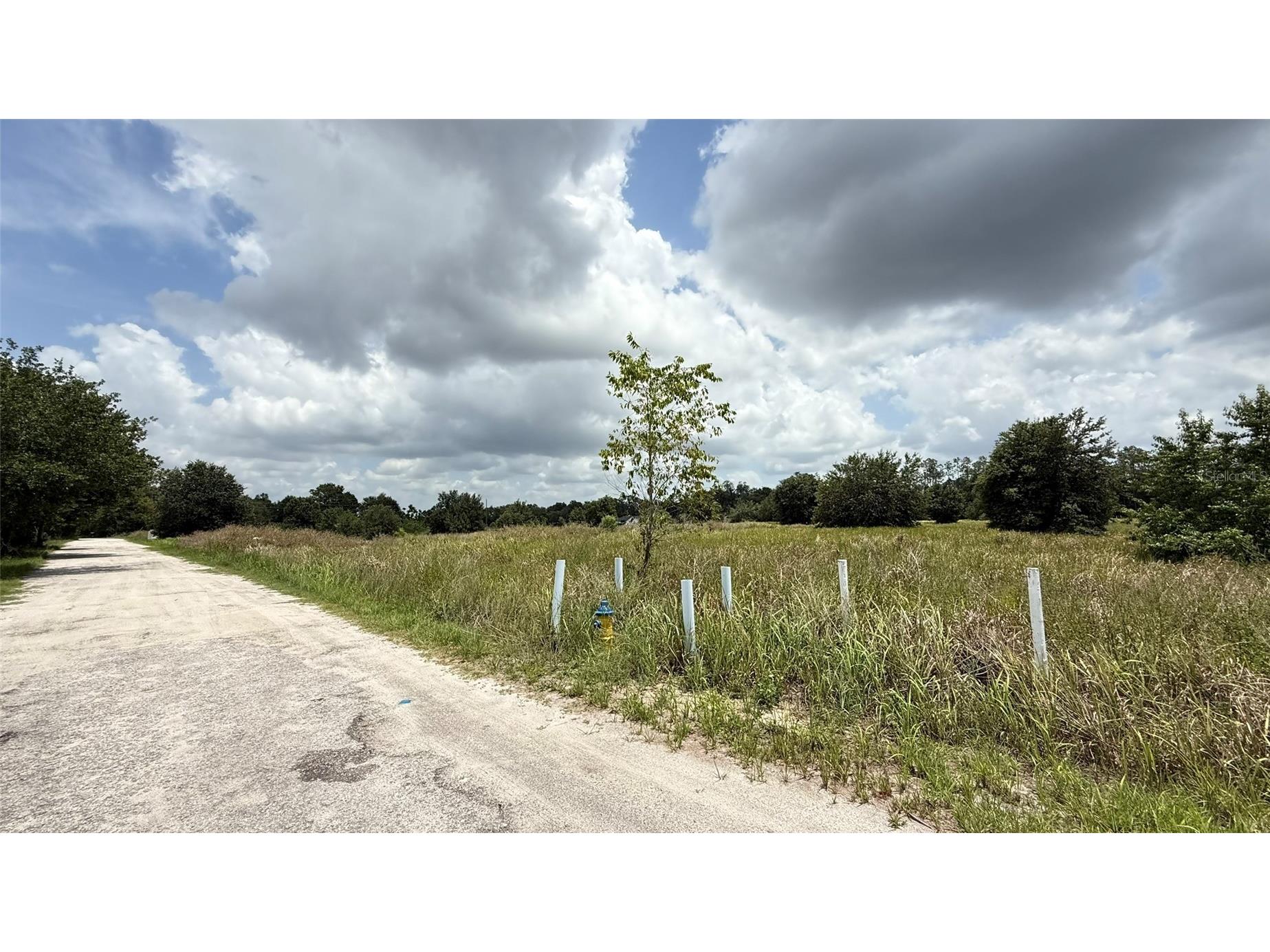 29824 Wells Roads Wesley Chapel FL 33545 TB8393629 image11