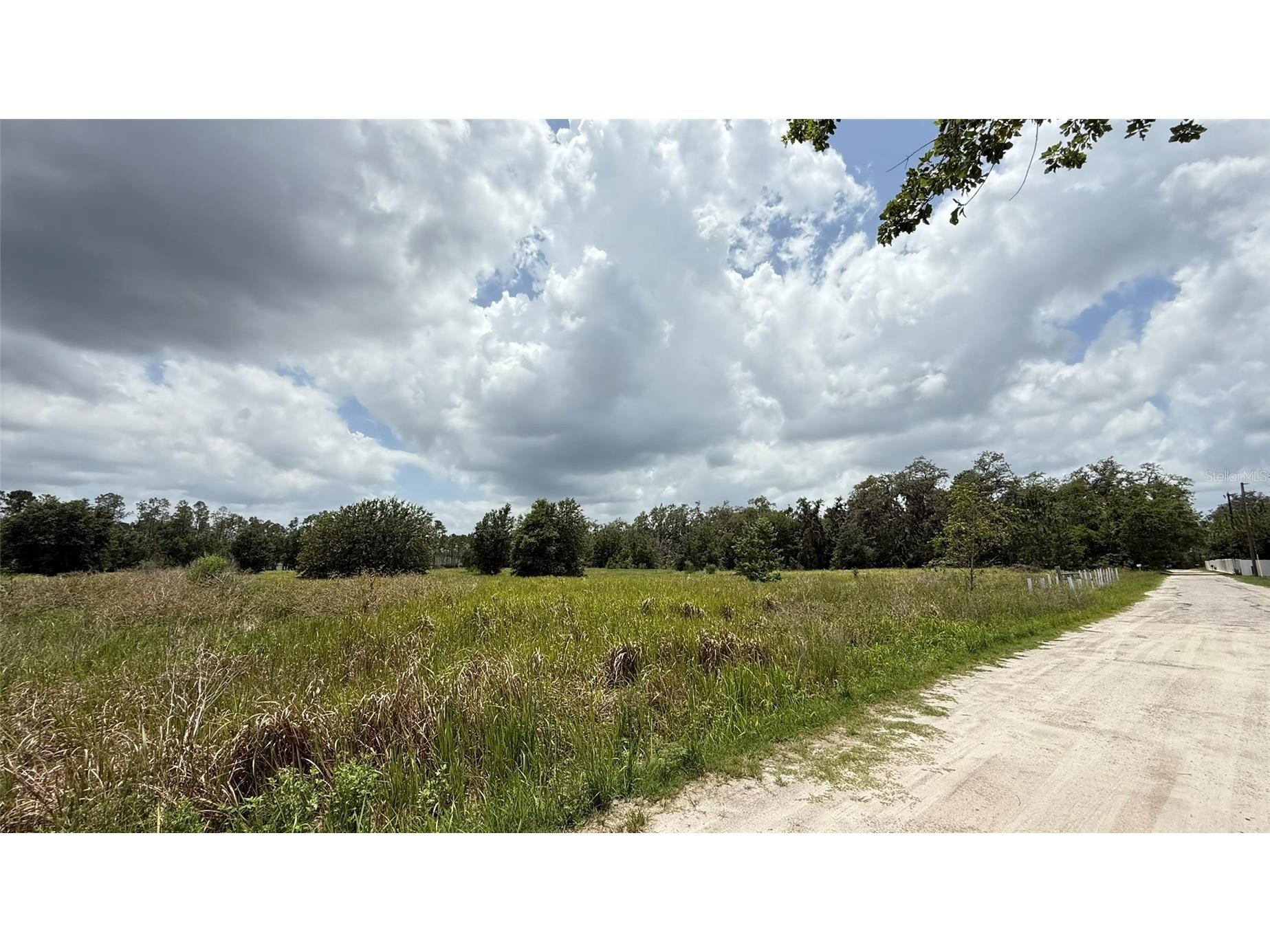 29824 Wells Roads Wesley Chapel FL 33545 TB8393629 image3