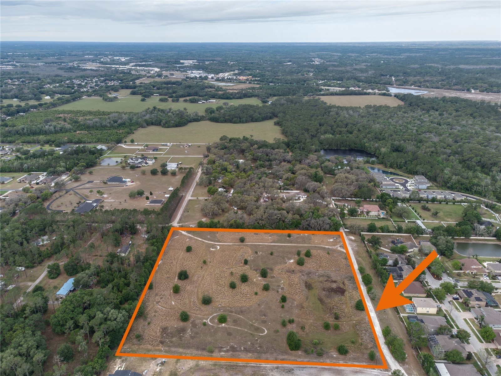 29824 Wells Roads Wesley Chapel FL 33545 TB8393629 image4