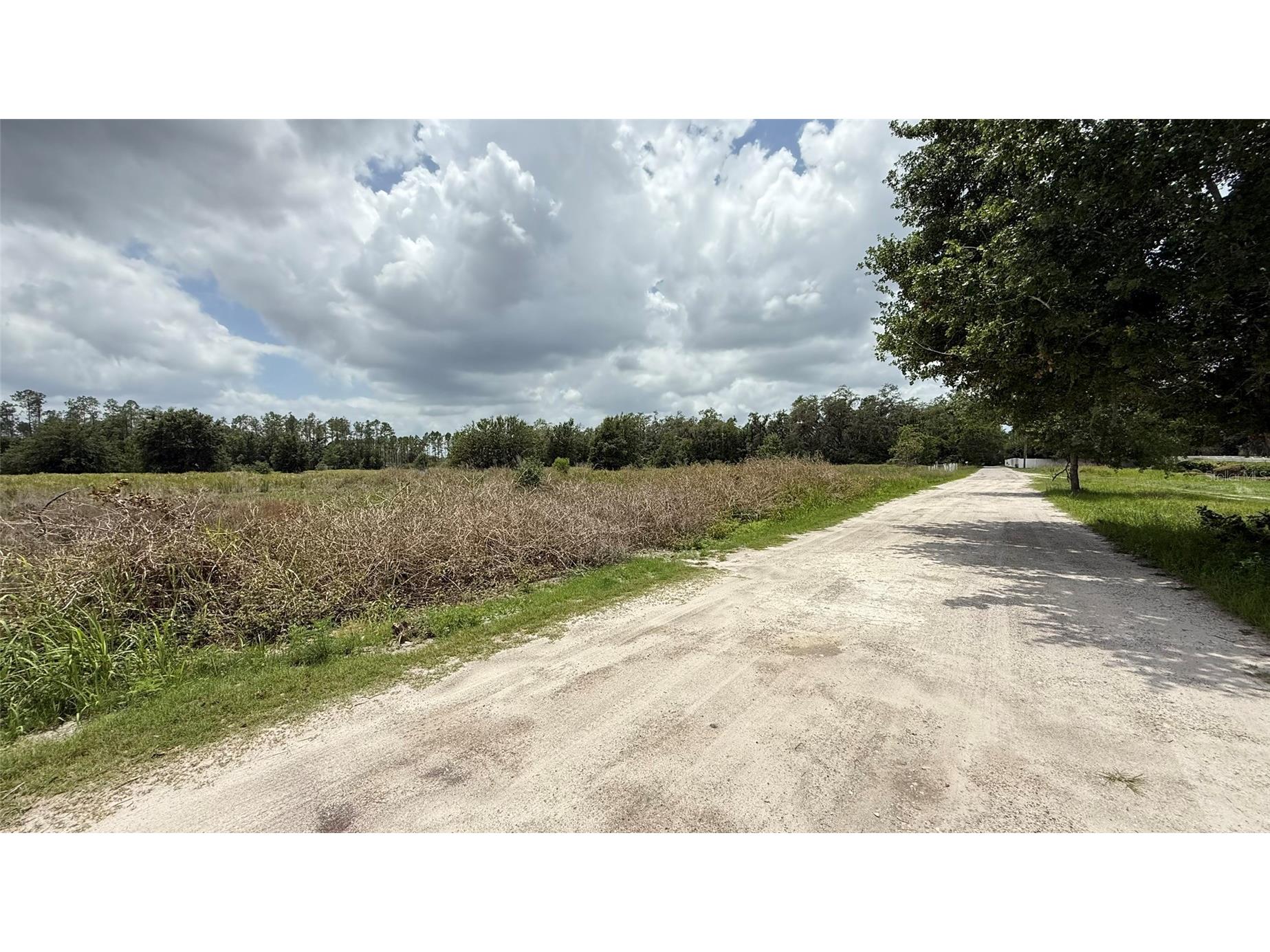 29824 Wells Roads Wesley Chapel FL 33545 TB8393629 image5