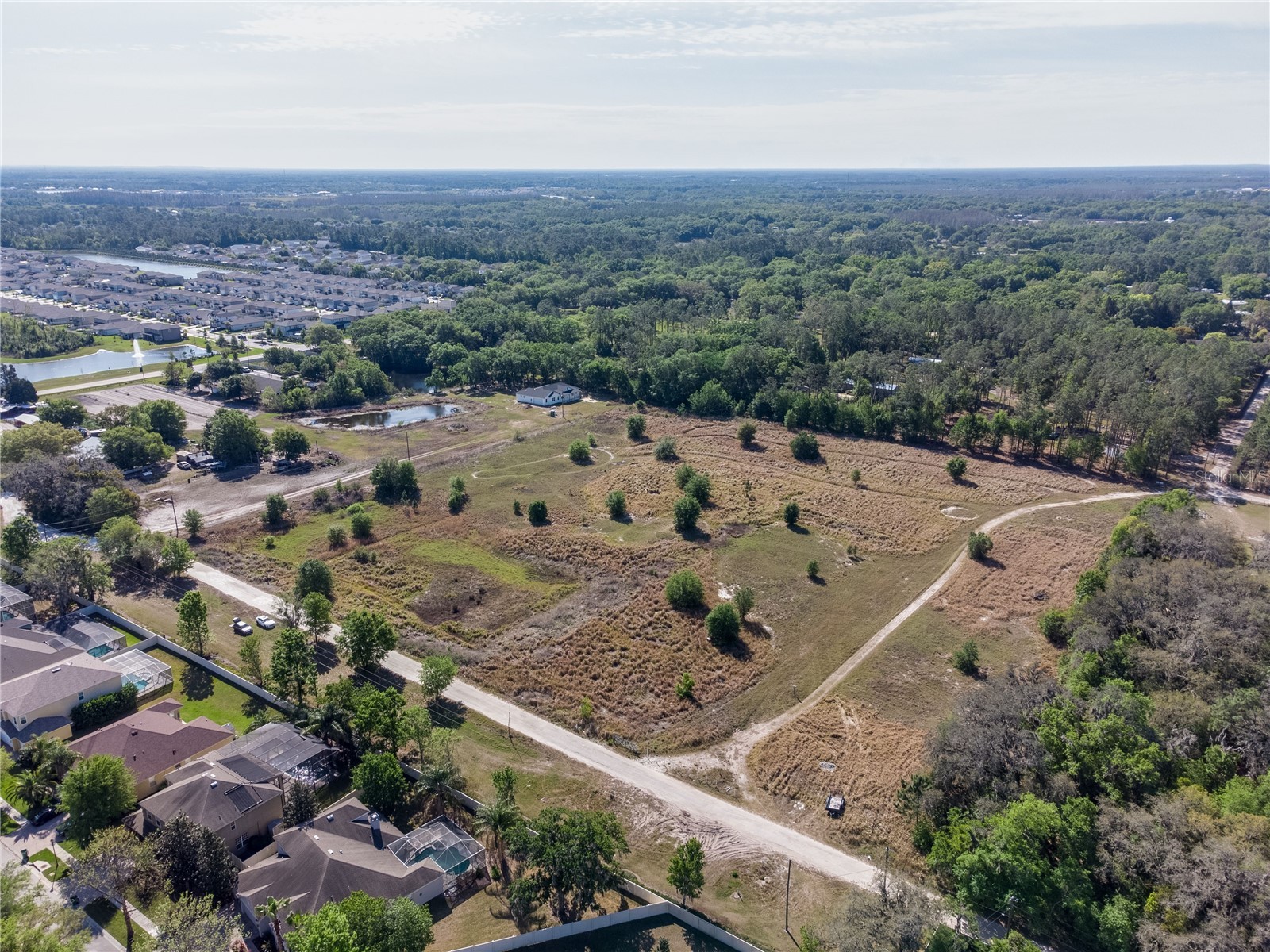 29824 Wells Roads Wesley Chapel FL 33545 TB8393629 image6