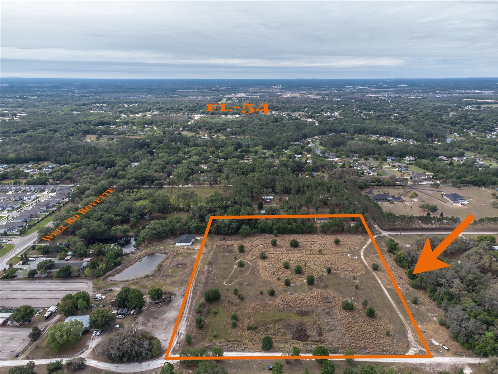 29824 Wells Roads Wesley Chapel FL 33545 TB8393629 image7