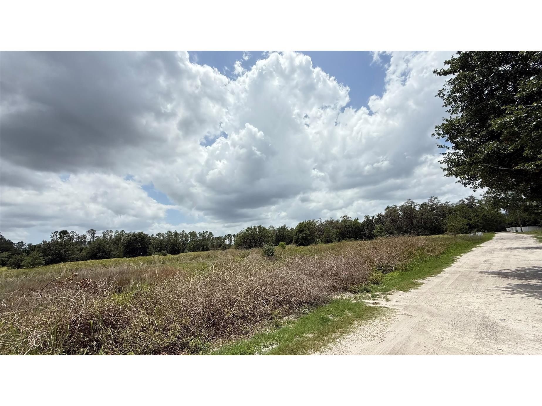 29824 Wells Roads Wesley Chapel FL 33545 TB8393629 image9