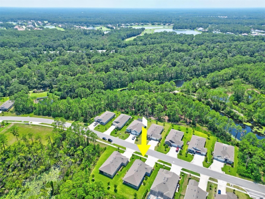 2983 Monaghan Drive Ormond Beach FL 32174 FC311194 image53