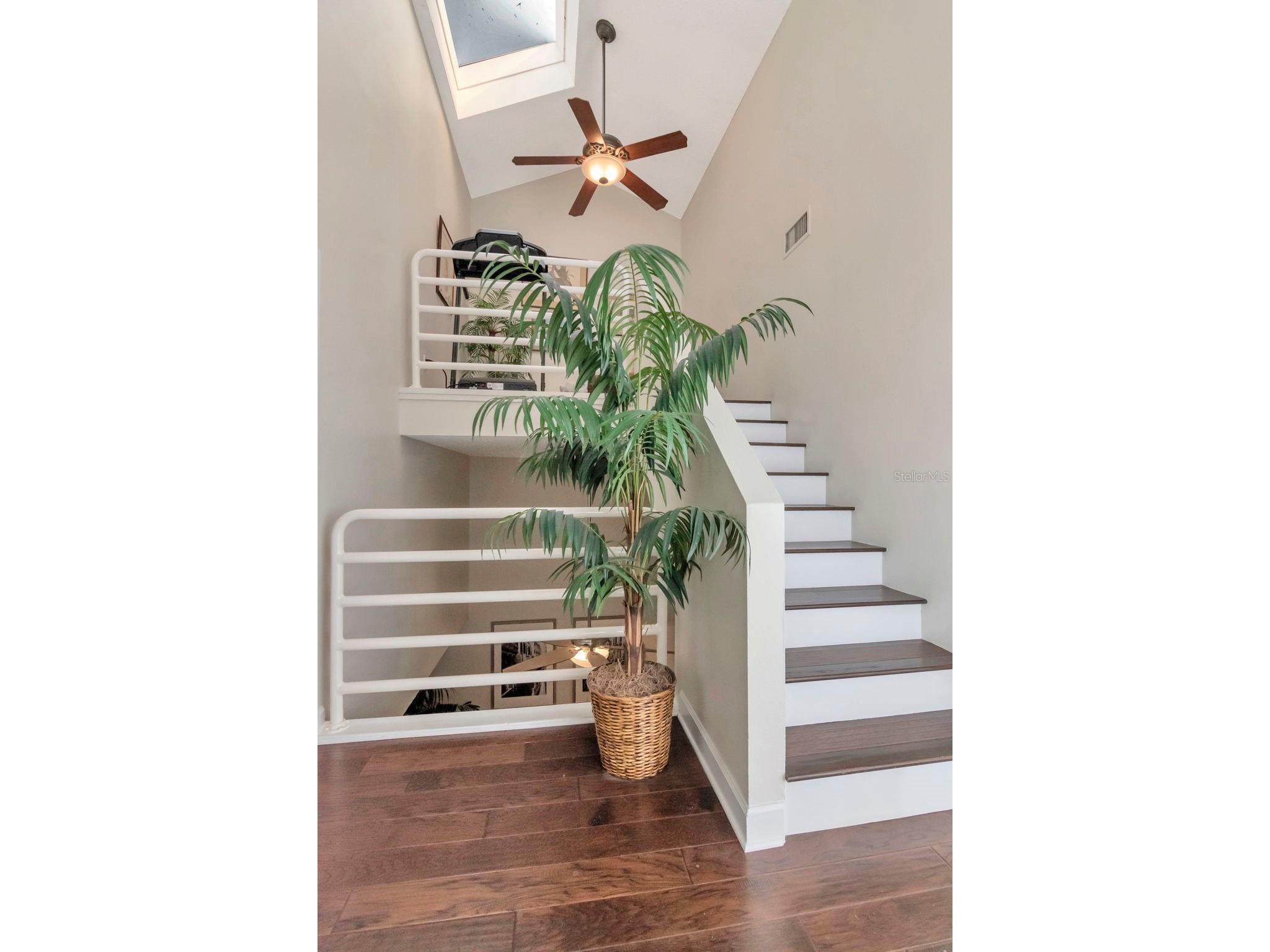 2983 W Knights Avenue #3 Tampa FL 33611 TB8487030 image44