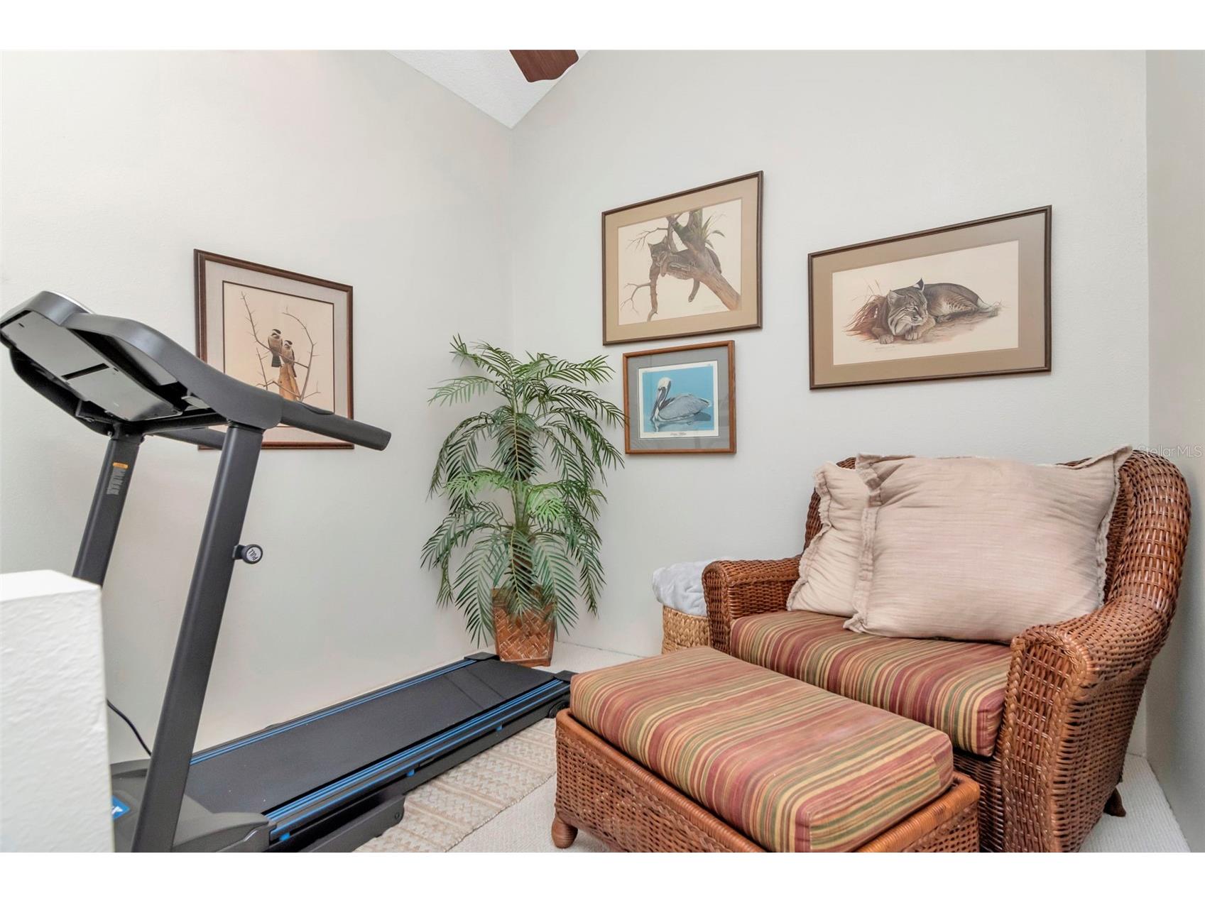 2983 W Knights Avenue #3 Tampa FL 33611 TB8487030 image46