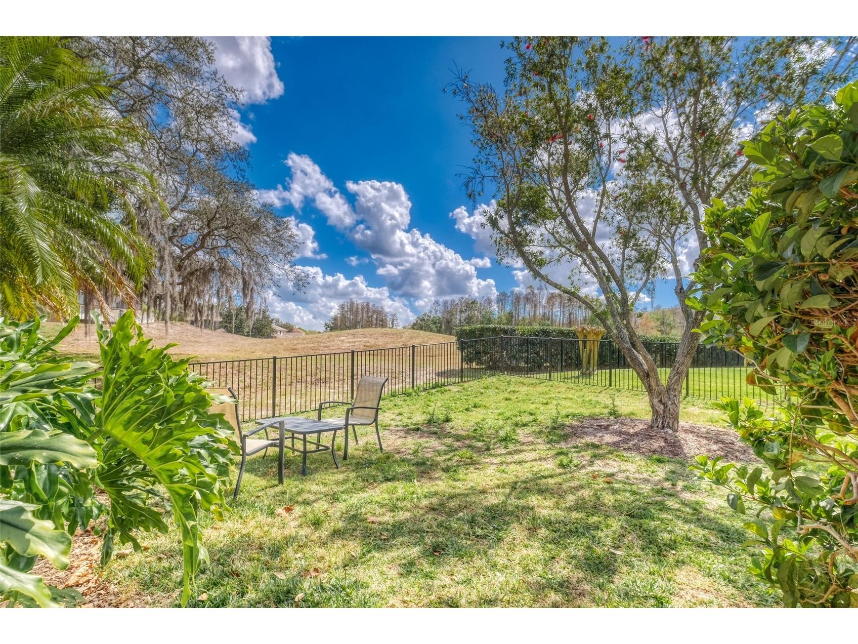 2983 Wentworth Way Tarpon Springs FL 34688 TB8484659 image31