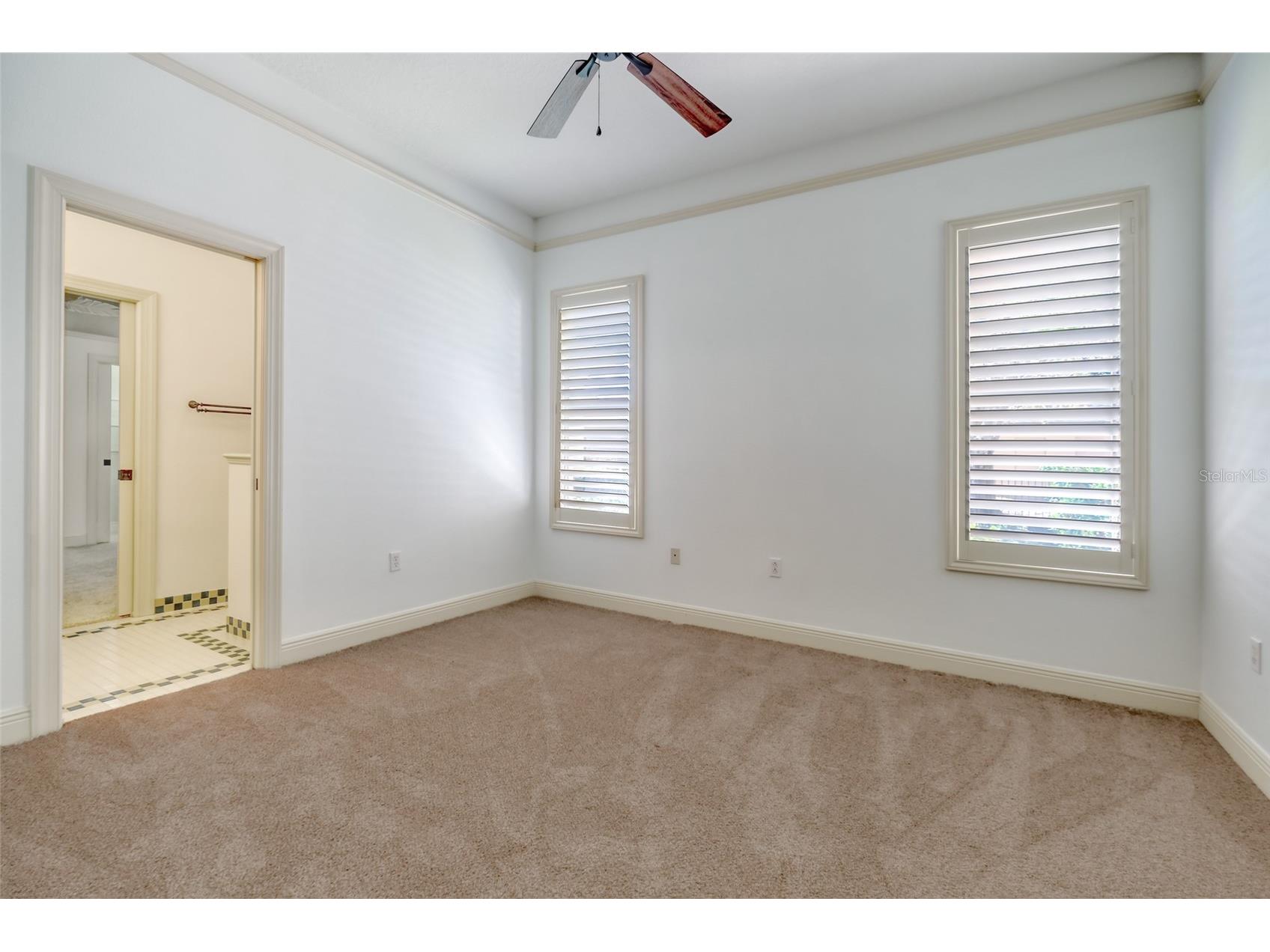 2983 Wentworth Way Tarpon Springs FL 34688 TB8484659 image33