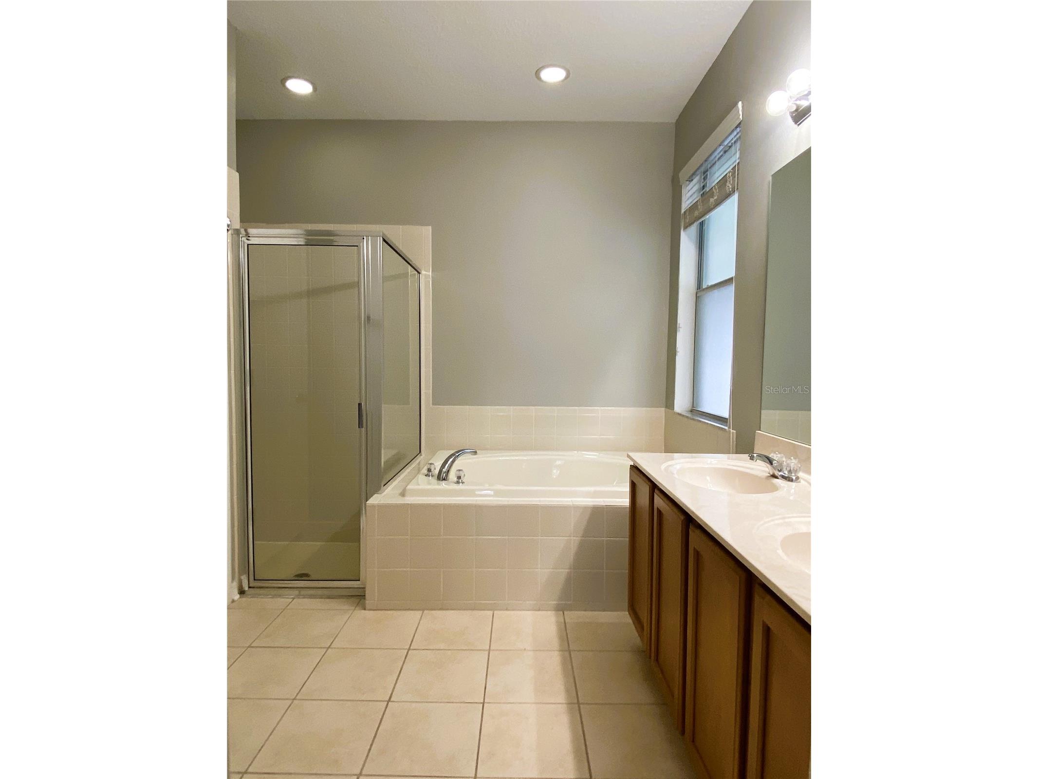 29832 Cedar Waxwing Drive Wesley Chapel FL 33545 TB8502977 image14