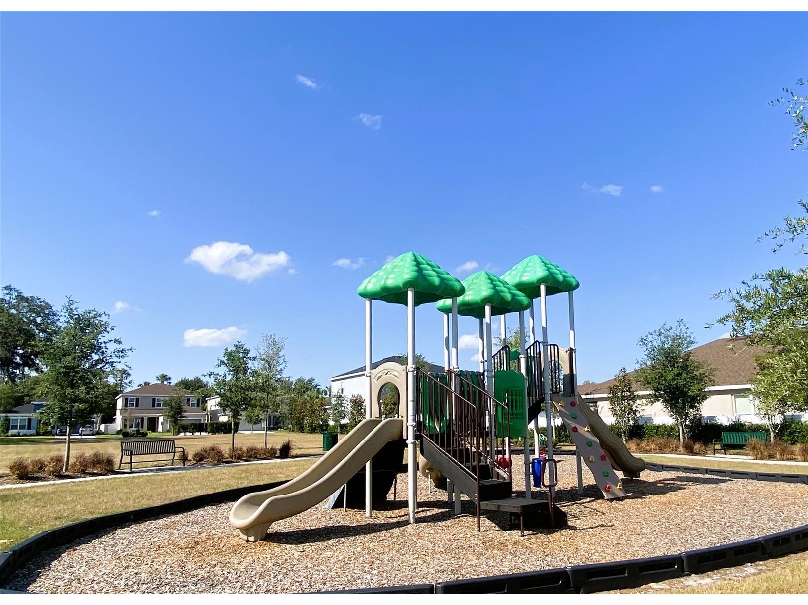 29832 Cedar Waxwing Drive Wesley Chapel FL 33545 TB8502977 image20