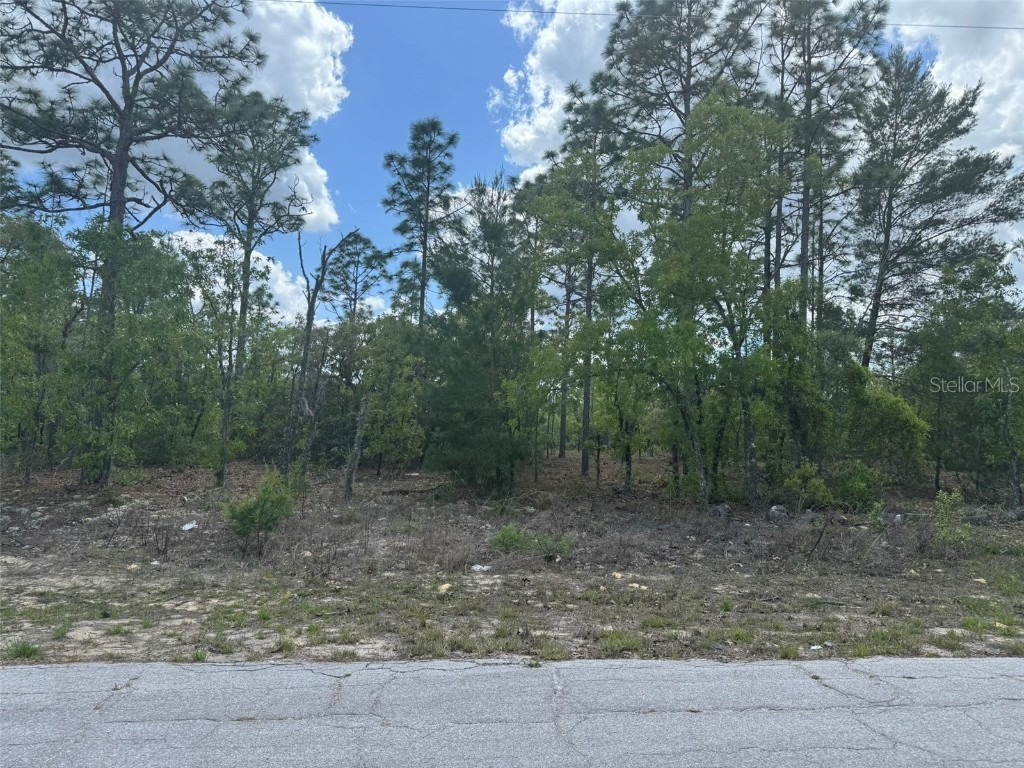 2984 W Liza Place Dunnellon FL 34433 A4648589 image1