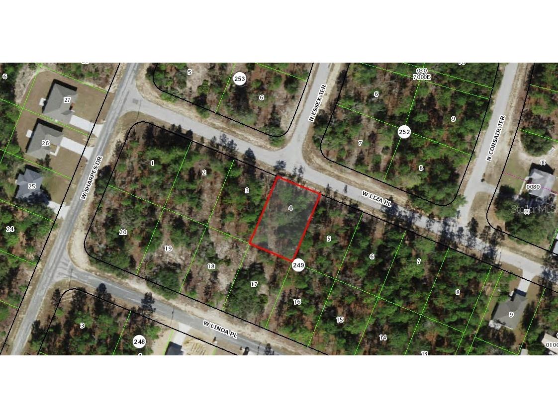 2984 W Liza Place Dunnellon FL 34433 A4648589 image3