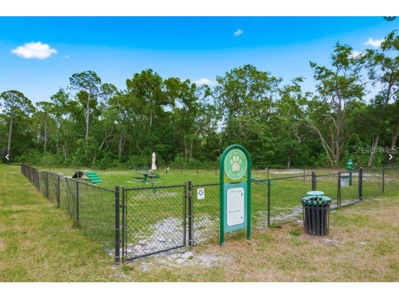 2985 Jacob Crossing Lane Holiday FL 34691 TB8507904 image16