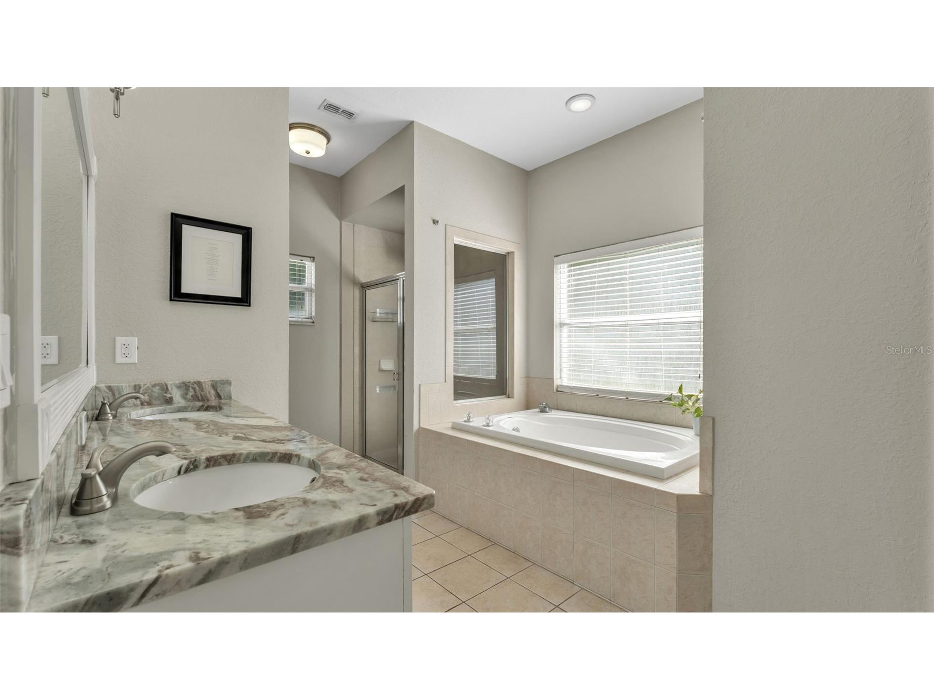 2985 Vintage View Circle Lakeland FL 33812 L4961442 image33