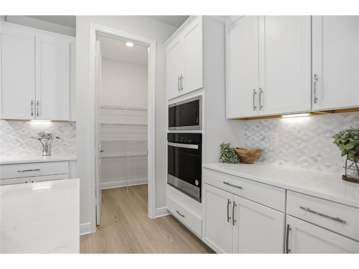 2985 Water Clover Court Apopka FL 32712 O6366181 image11