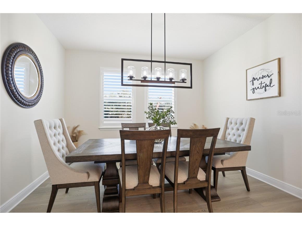 2985 Water Clover Court Apopka FL 32712 O6366181 image14