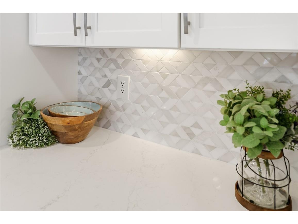 2985 Water Clover Court Apopka FL 32712 O6366181 image9