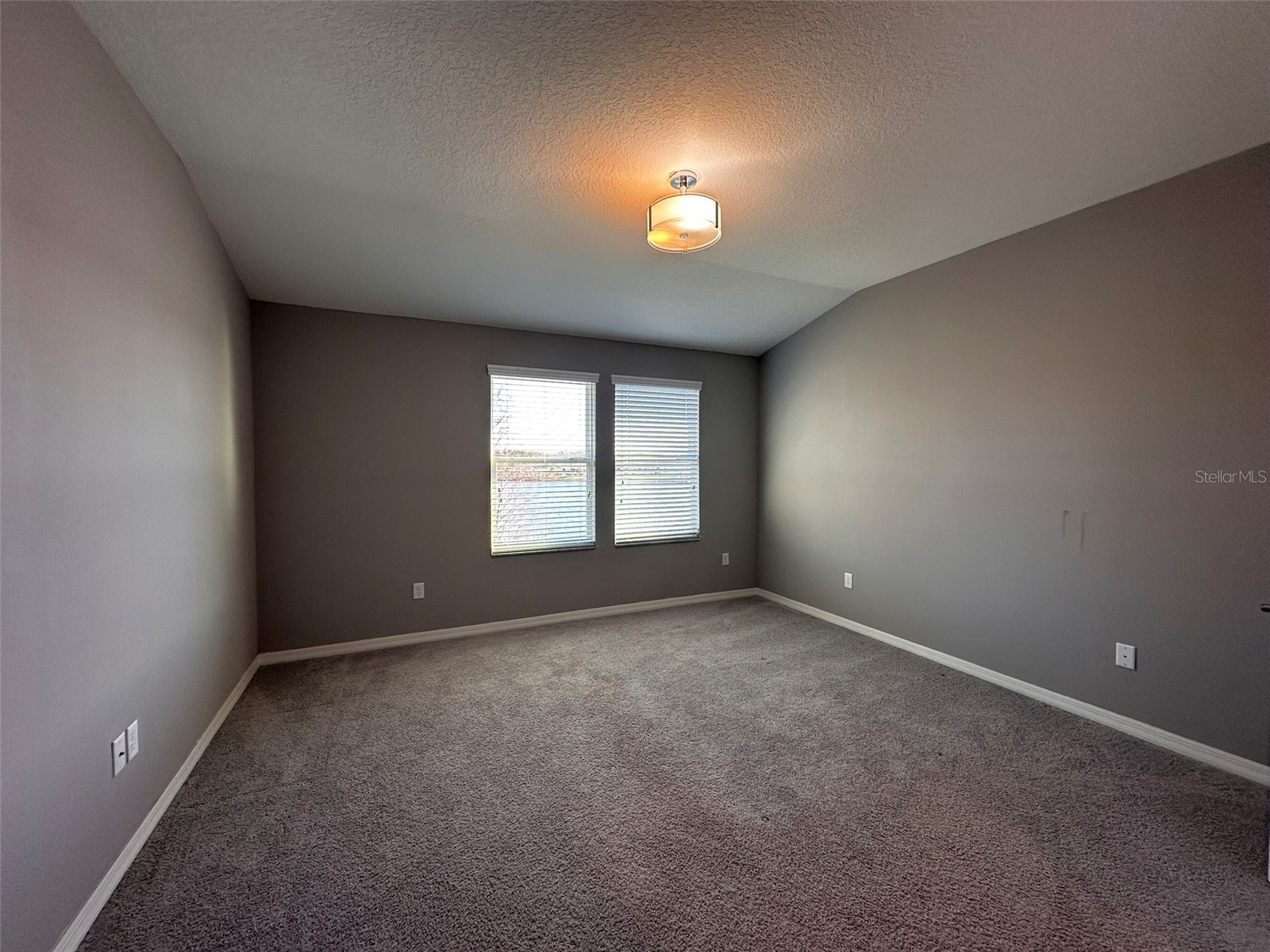 29850 Southwell Lane Wesley Chapel FL 33543 TB8500059 image14