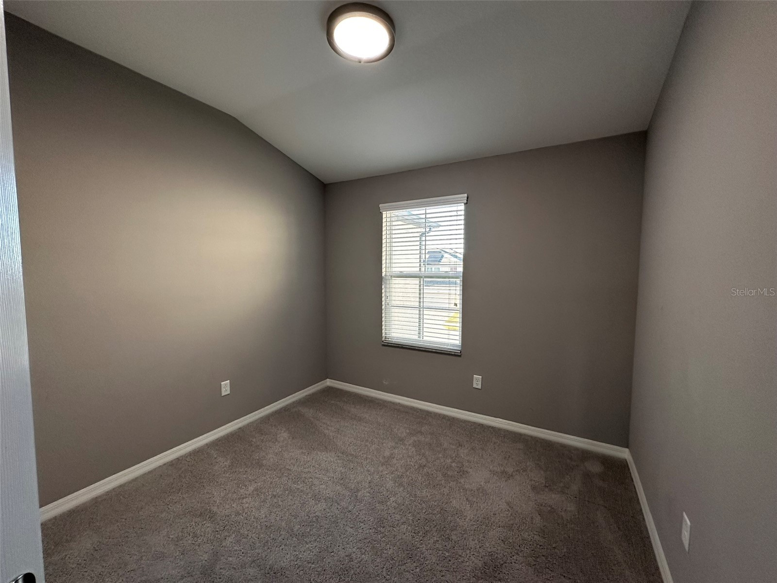 29850 Southwell Lane Wesley Chapel FL 33543 TB8500059 image20