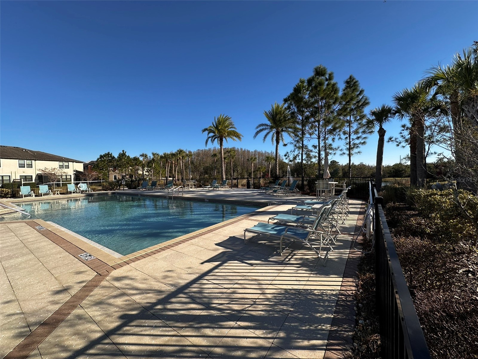 29850 Southwell Lane Wesley Chapel FL 33543 TB8500059 image28