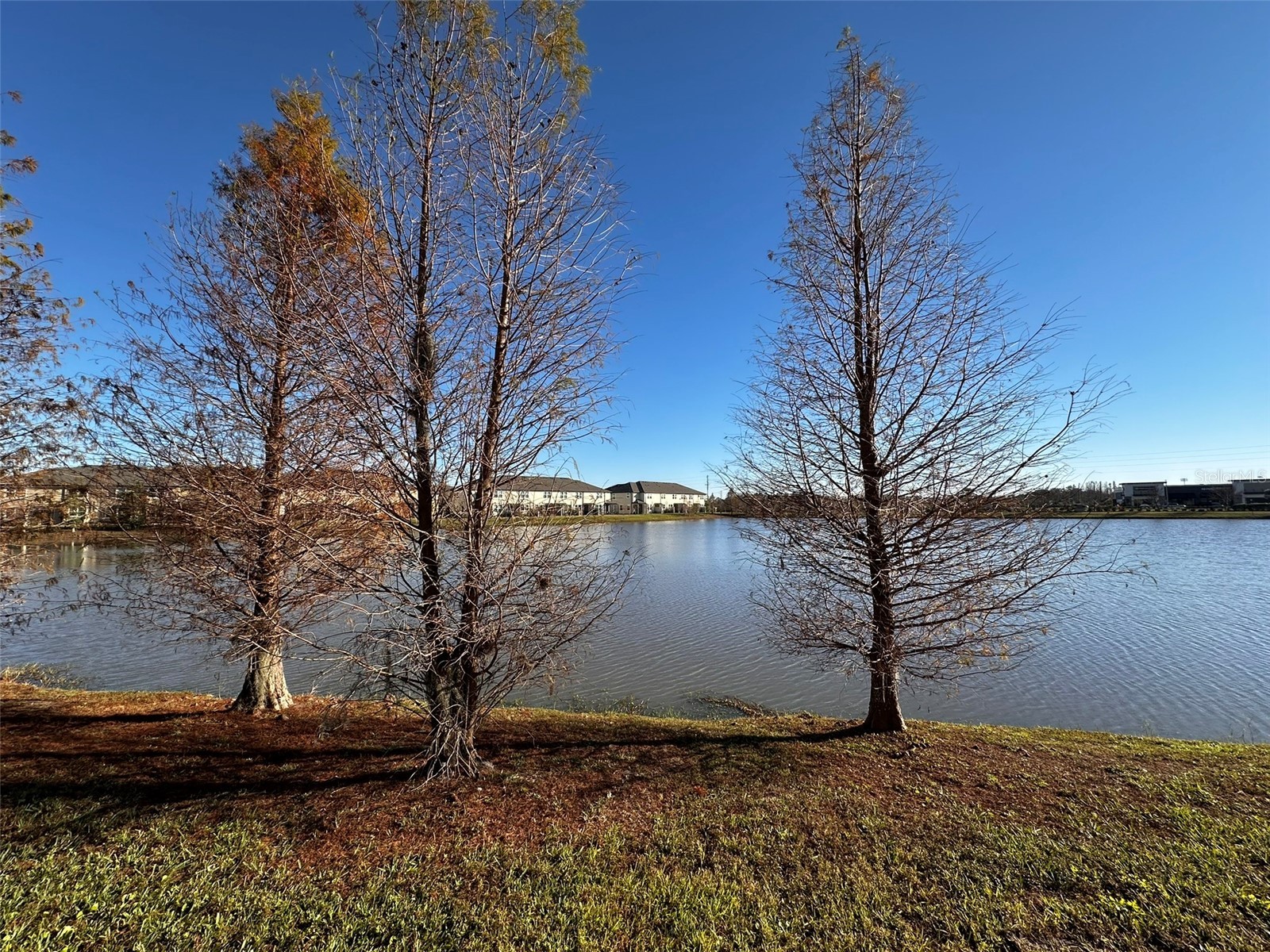 29850 Southwell Lane Wesley Chapel FL 33543 TB8500059 image30
