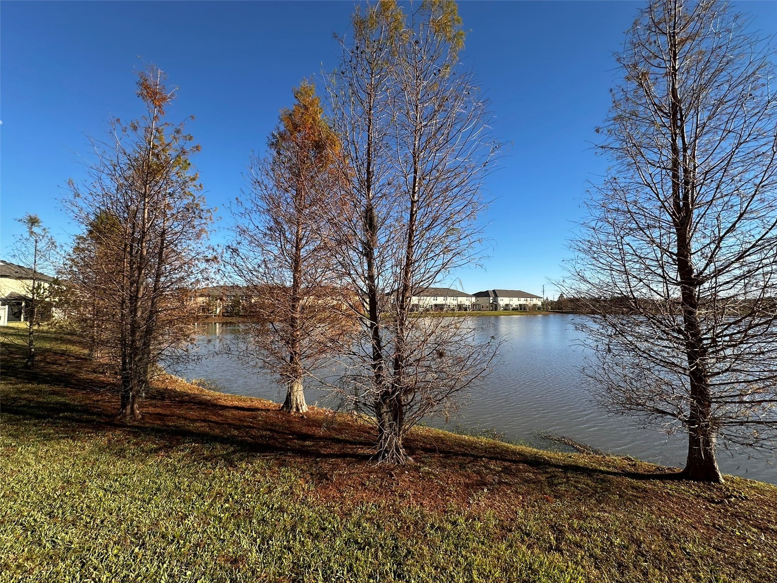 29850 Southwell Lane Wesley Chapel FL 33543 TB8500059 image31
