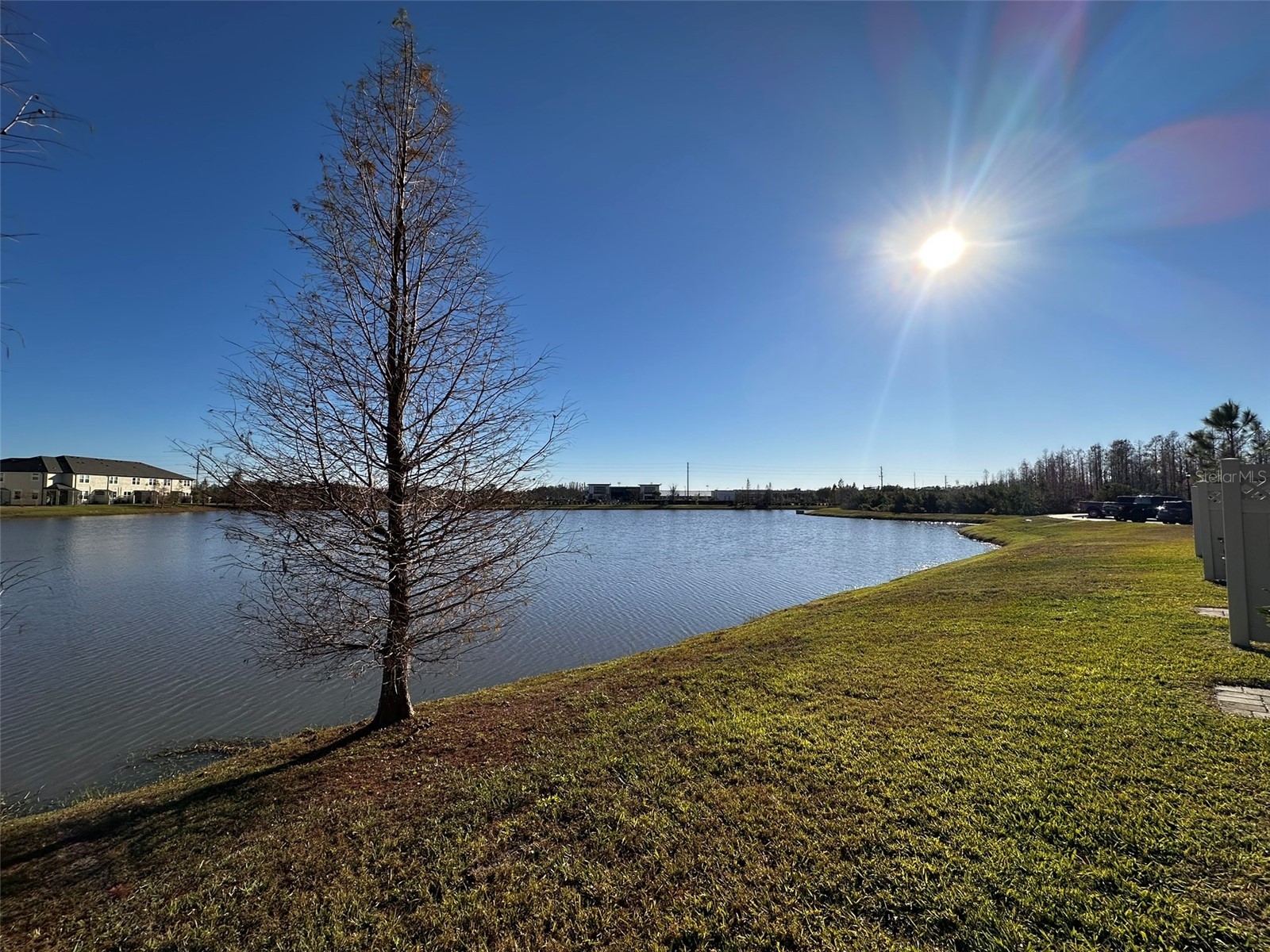 29850 Southwell Lane Wesley Chapel FL 33543 TB8500059 image32
