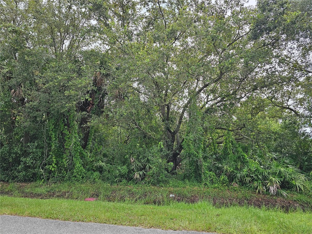 2986 NW 36th Avenue Okeechobee FL 34972 OK223183 image1