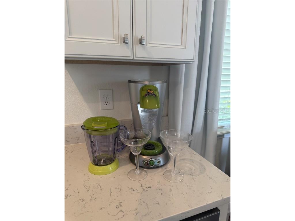 2986 Salted Rim Road Kissimmee FL 34747 O6371544 image28