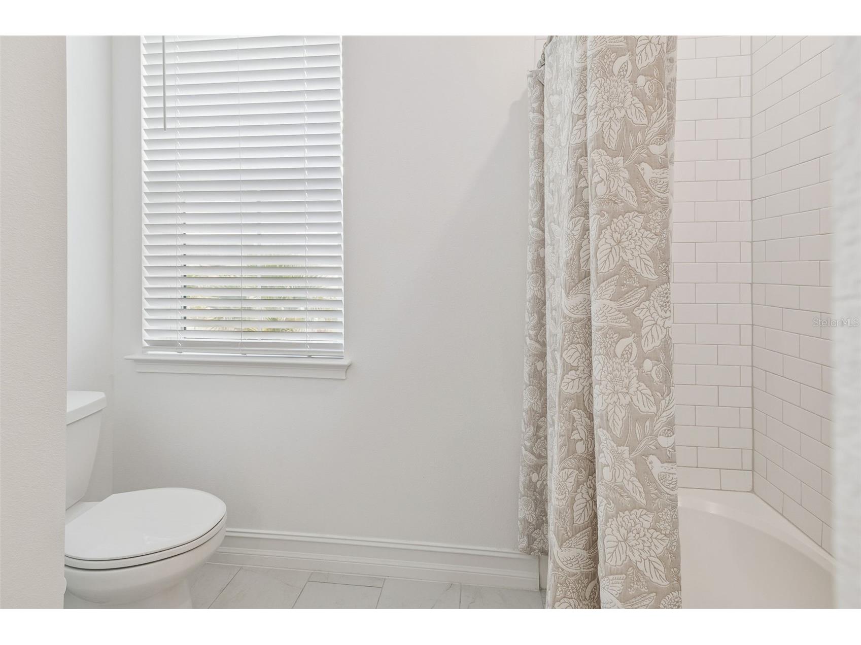 29868 Picana Lane Wesley Chapel FL 33543 TB8422998 image23