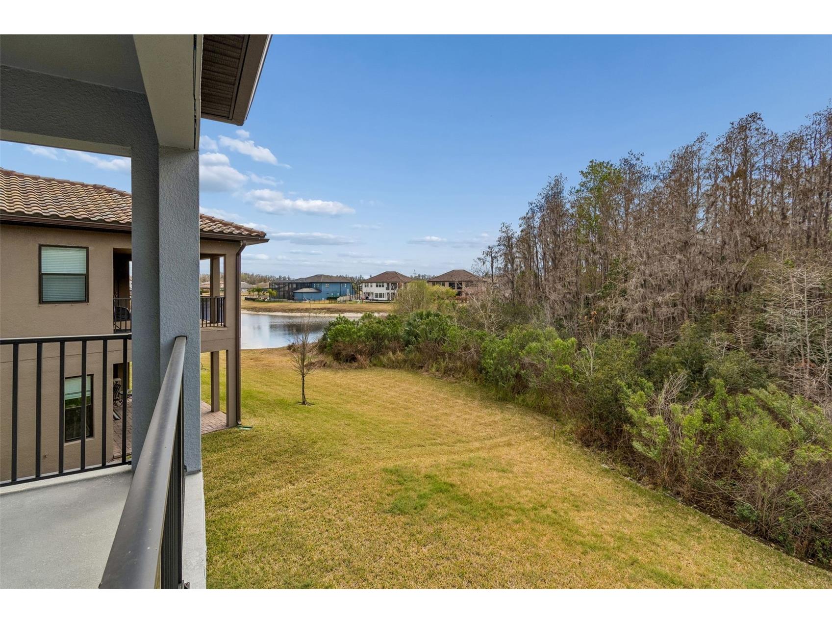 29868 Picana Lane Wesley Chapel FL 33543 TB8422998 image31